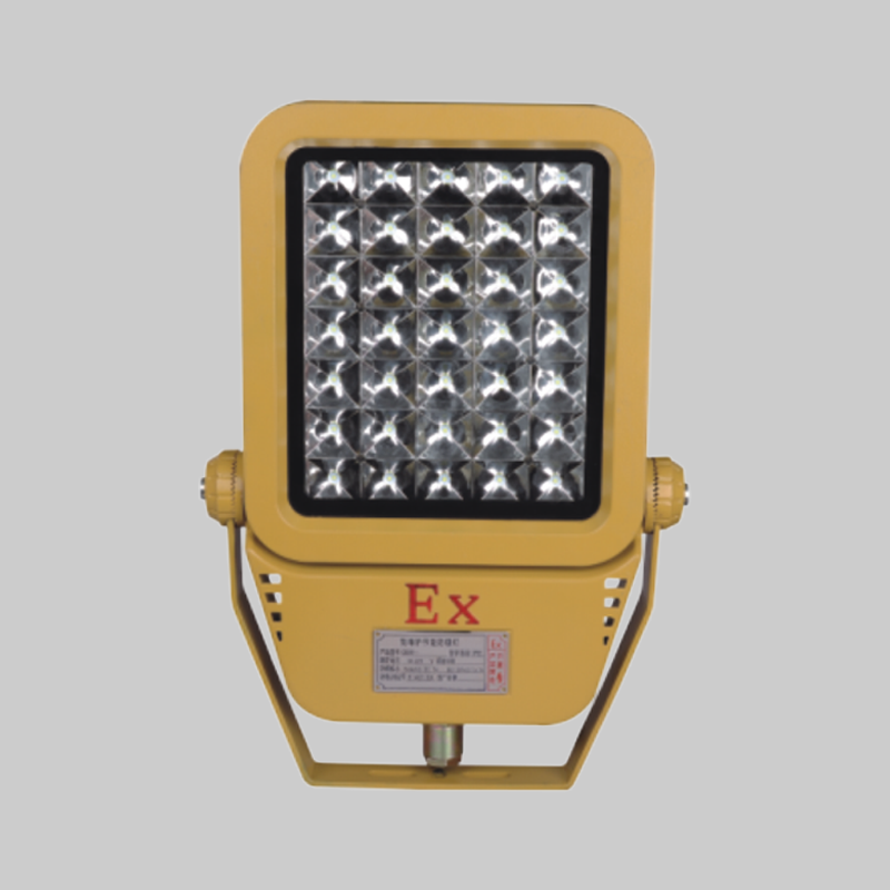 人民电器, , ,中国人民电器,RDB98-MZ型防爆免维护节能灯(LED)