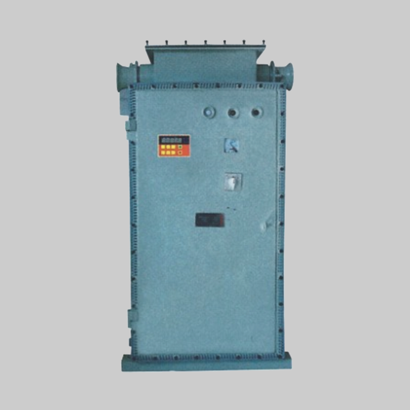 人民电器，
，
，中国人民电器，BQXB51系列防爆变频调速箱(II B)