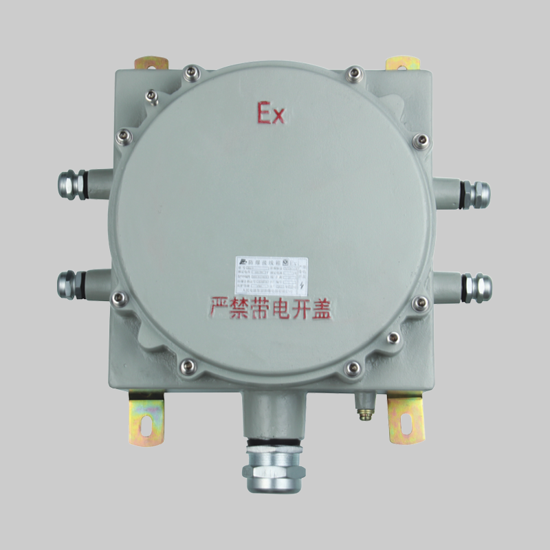 人民电器, , ,中国人民电器,BXJ系列防爆接线箱（DIP A20)