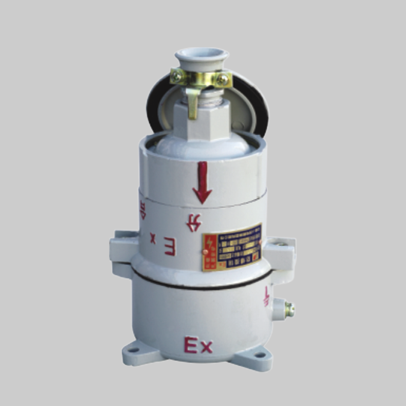 人民电器，
，
，中国人民电器，BCX-DIP系列粉尘防爆插销(DIPA20)