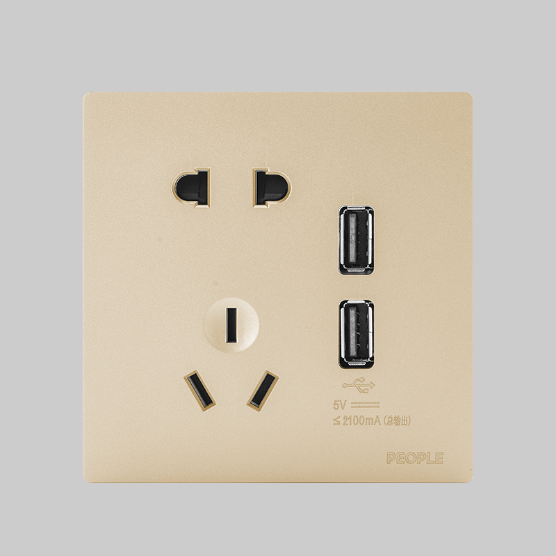 人民电器, , ,中国人民电器,二USB五孔插座(R86H5)